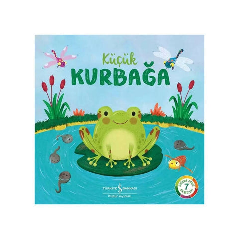 Küçük Kurbağa, Doğanın Eşsiz Hikâyeleri 7, Okul Öncesi Eğitim Kitabı