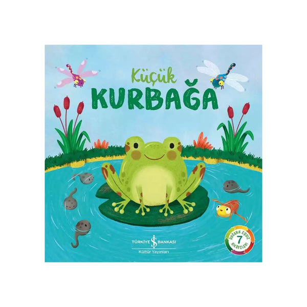 Küçük Kurbağa – Doğanın Eşsiz Hikâyeleri 7 | Okul Öncesi Eğitim Kitabı ana görseli