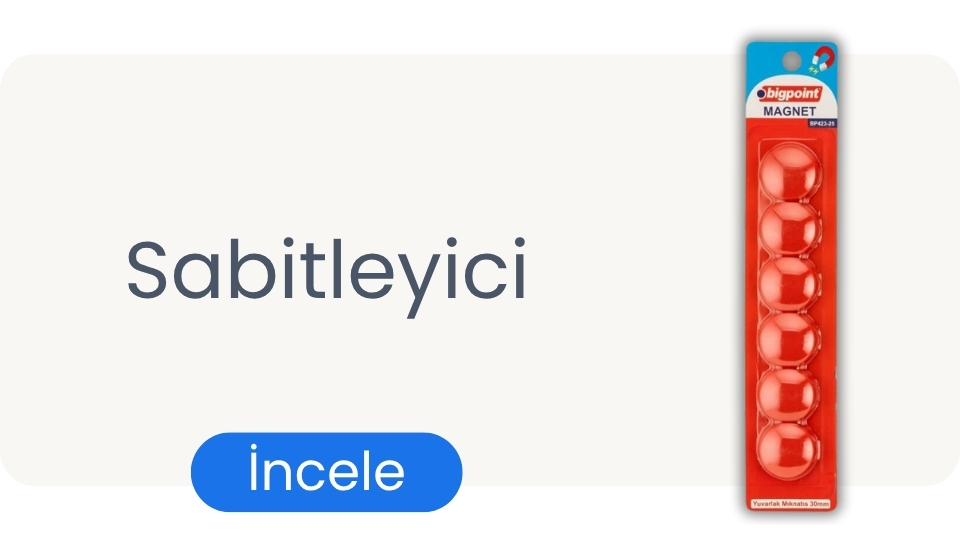 Sabitleyici