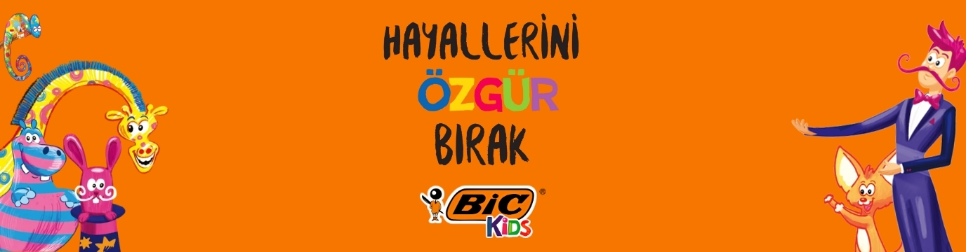 bic.jpg