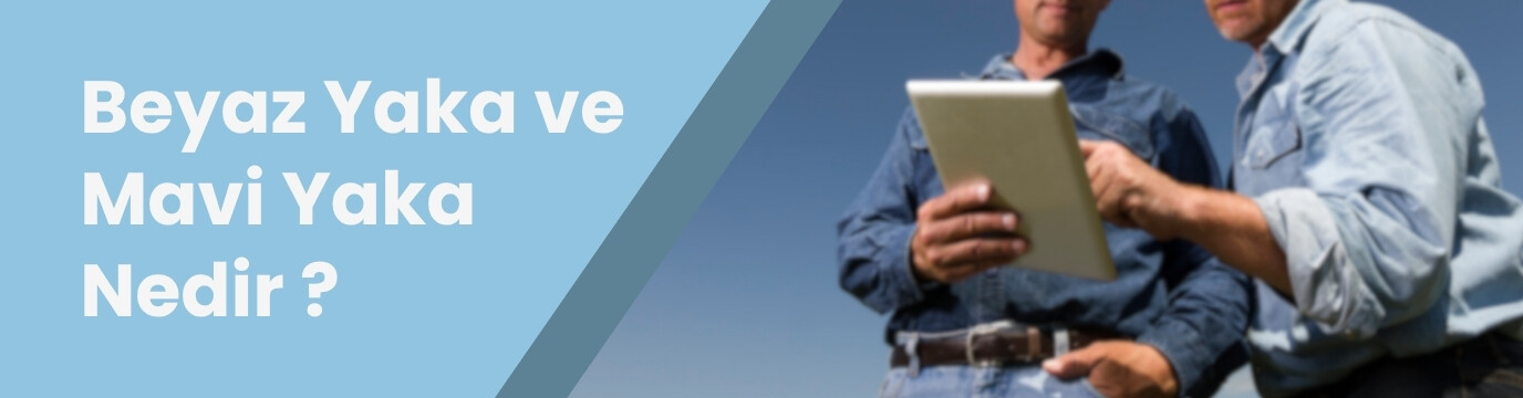 Beyaz Yaka ve Mavi Yaka Nedir?