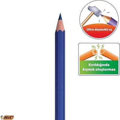BIC Evolation Kuru Boya Kalem Seti, 36 Renk, Metal Tüp, Canlı Renkler - 2