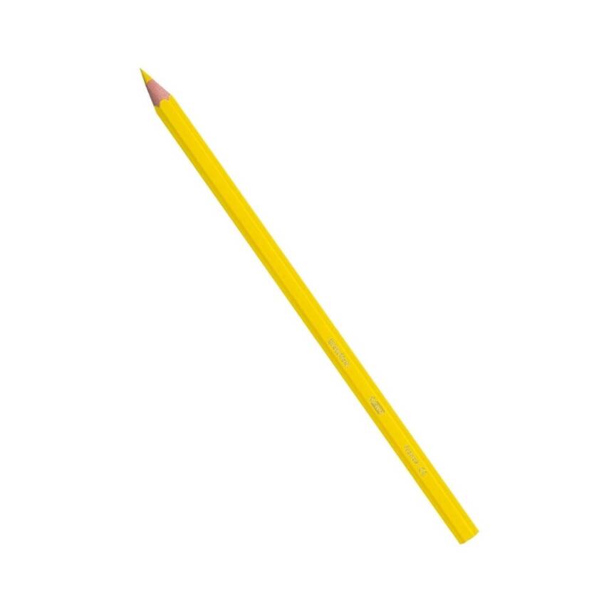 BIC Evolation Kuru Boya Kalem Seti, 36 Renk, Metal Tüp, Canlı Renkler - 4