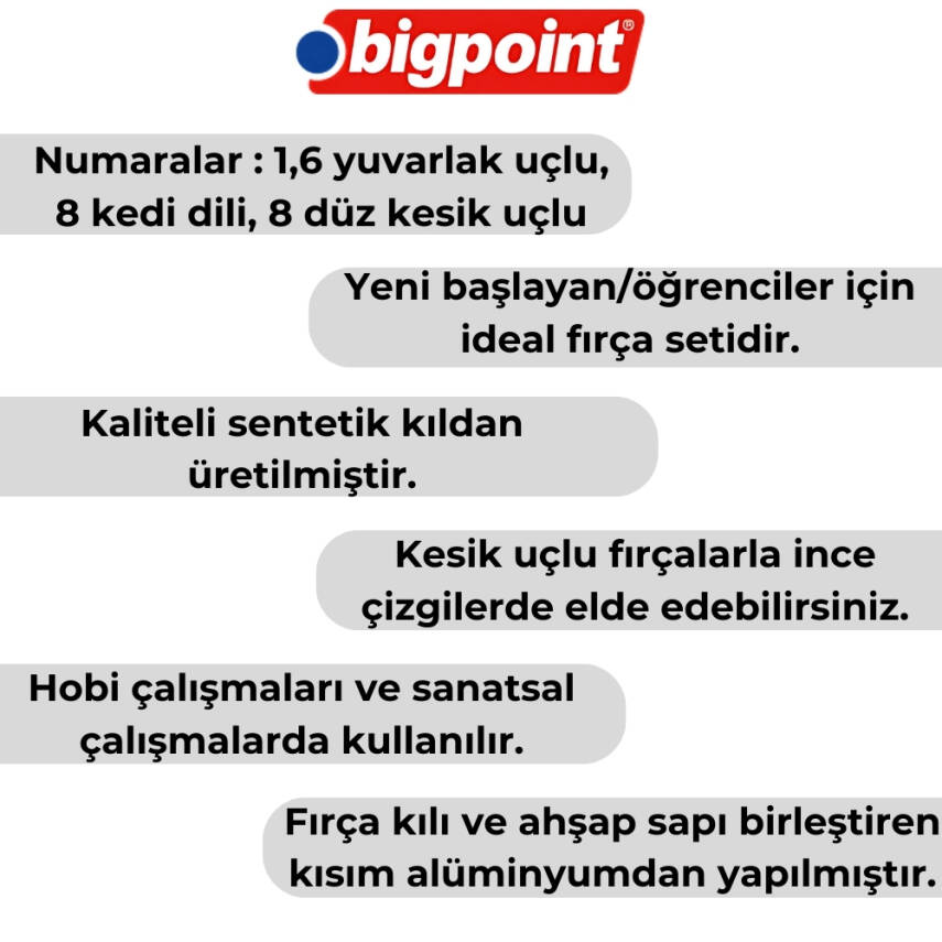 Bigpoint 111 & 210 Serisi Sentetik Kıl Fırça Seti, 4’lü, No:1,6,8,10 - 4