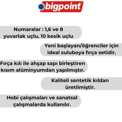 Bigpoint 111 & 210F Serisi Sentetik Kıl Fırça Seti, 4’lü, No:1,6,8,10 - 4