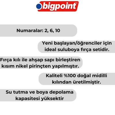 Bigpoint 145 Serisi Yuvarlak Fırça Seti, 3’lü, No:2,6,10, Doğal Kıl - 3
