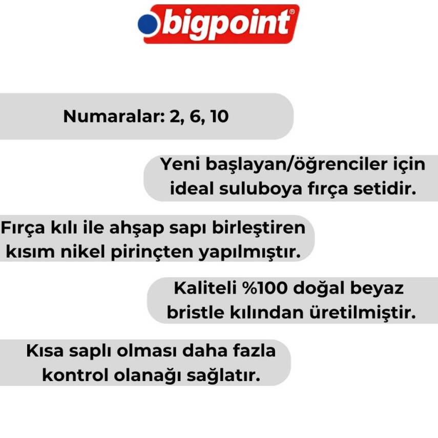 Bigpoint 358F Serisi Düz Kesik Fırça Seti, 3’lü, No:2,6,10, Beyaz Kıl - 3