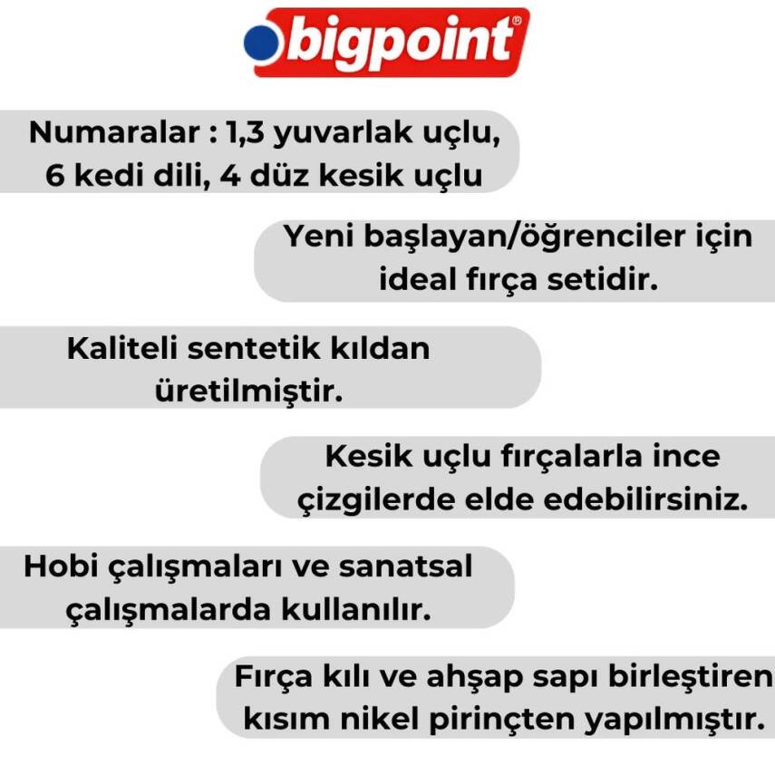 Bigpoint 984 Serisi Sentetik Kıl Fırça Seti, 4’lü, No:1,3,4,6, - 2