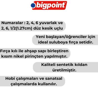 Bigpoint 986 Serisi Sentetik Fırça Seti, 6’lı, No:2,4,6,2,6,1/2 - 2