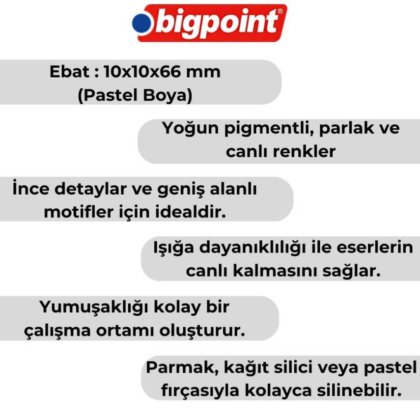 Bigpoint Artists’ Toz Pastel Boya Seti, 12 Renk,Yoğun Pigmentli, Canlı - 2