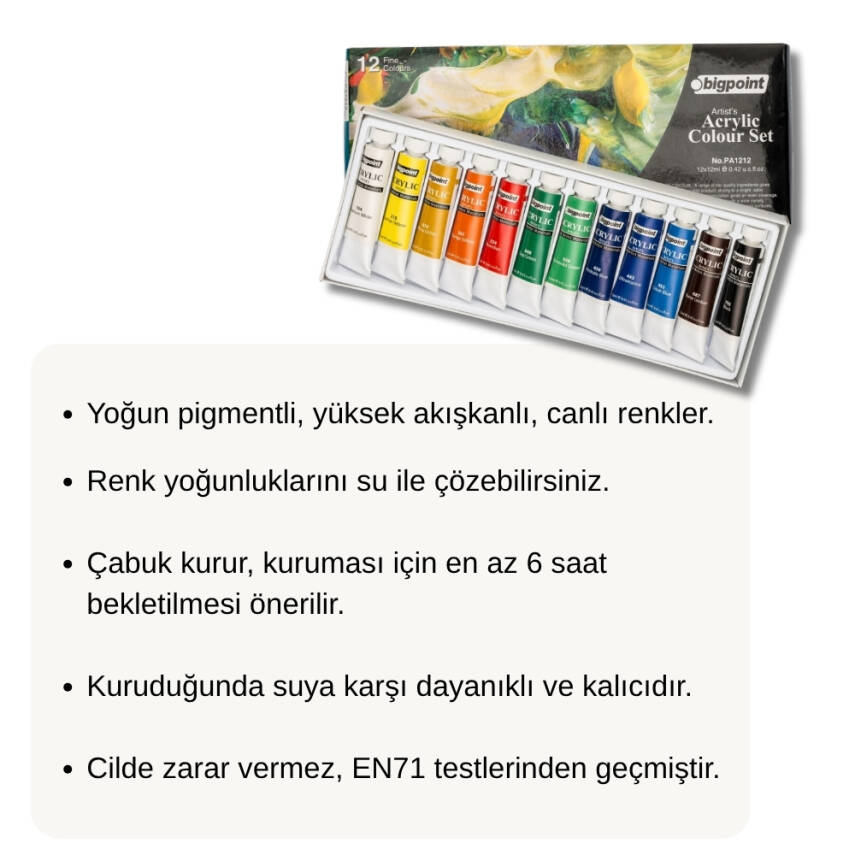 Bigpoint Artist's Tüp Akrilik Boya Seti, 12 Renk, 12 ml, Akışkan - 3