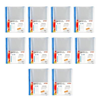 Bigpoint Poşet Dosya, 10 Adet, Mavi Şeritli, 90 Mikron, 100'lü - 2