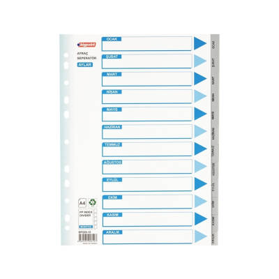 Bigpoint Seperatör, Klasör İçi Ayraç, Dosya Düzenleyici, Tarih Ayları - Bigpoint