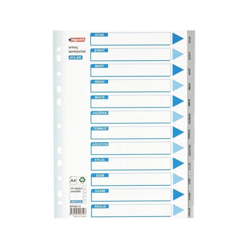 Bigpoint Seperatör, Klasör İçi Ayraç, Dosya Düzenleyici, Tarih Ayları - 1