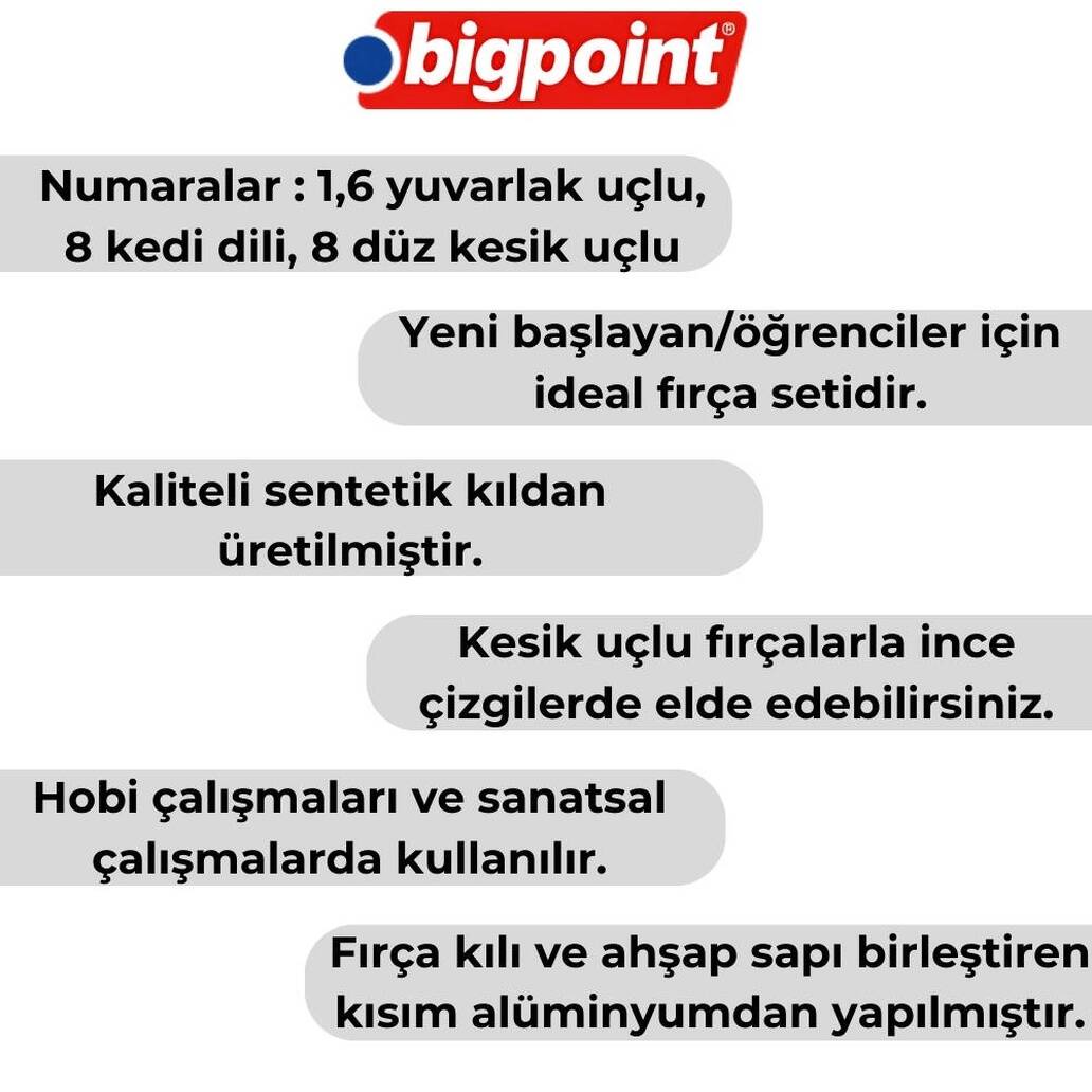 Bigpoint 111 & 210 Serisi Sentetik Kıl Fırça Seti, 4’lü, No:1,6,8,10