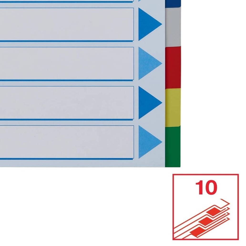 Esselte A4 Separatör, 10 Renkli, 115 Mikron PP, Düzenli Arşivleme İçin