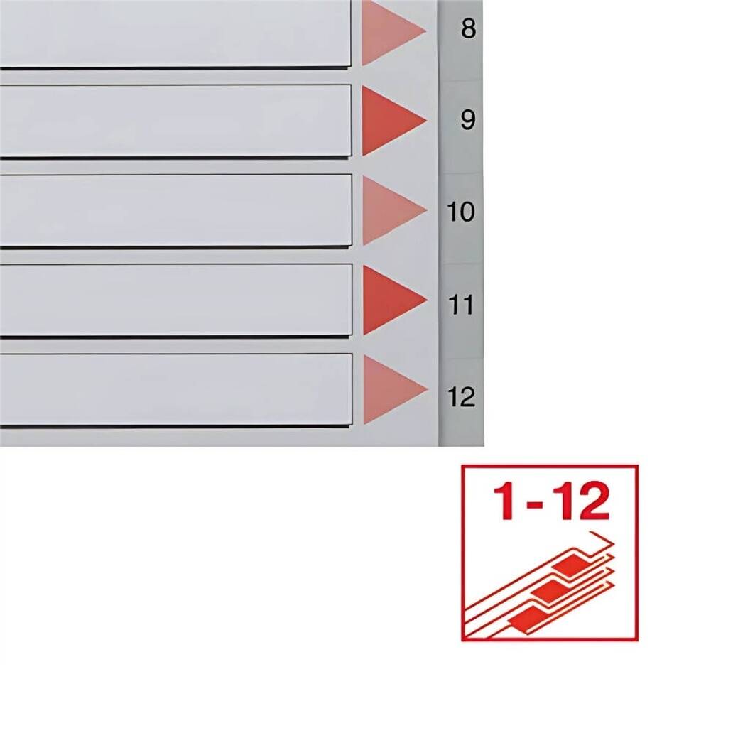 Esselte A4 Separatör, 1-12 Rakamlı, 115 Mikron PP, Düzenli Arşivleme