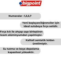 Bigpoint 123 Serisi Sentetik Kıl Fırça Seti,4’lü, No:1,3,5,7, Suluboya görseli
