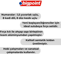 Bigpoint 200 Serisi Sentetik Kıl Uzun Saplı Fırça Seti,4’lü,Çeşitli Uç görseli