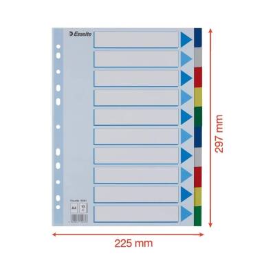 Esselte A4 Separatör, 10 Renkli, 115 Mikron PP, Düzenli Arşivleme İçin - 4