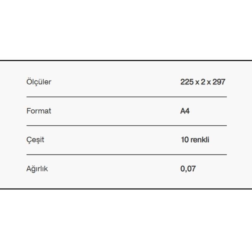 Esselte A4 Separatör, 10 Renkli, 115 Mikron PP, Düzenli Arşivleme İçin - 8