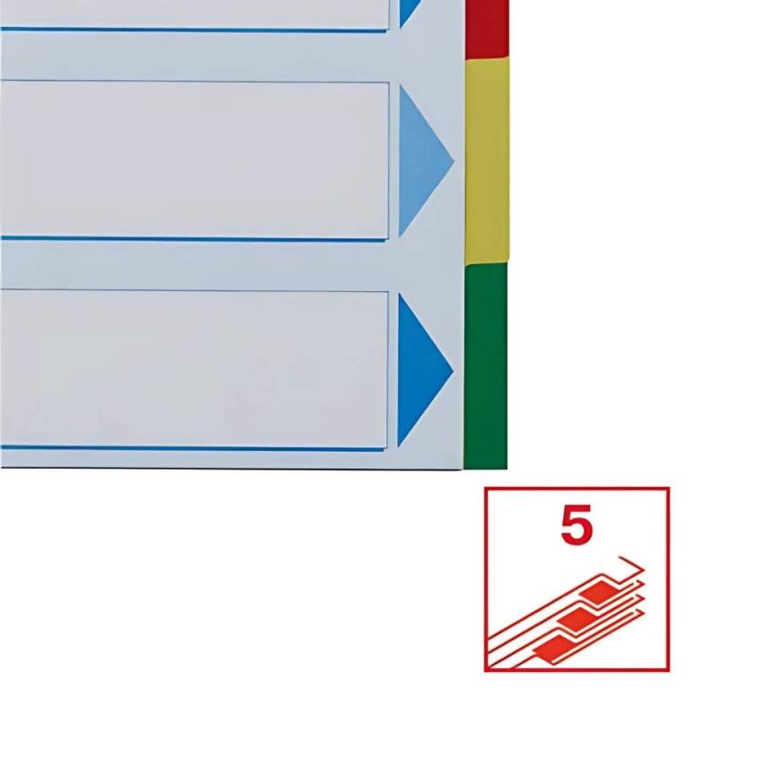 Esselte A4 Separatör, 5 Renkli, 115 Mikron PP, Düzenli Arşivleme İçin - 5