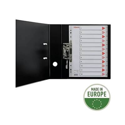 Esselte A4 Separatör, 1-12 Rakamlı, 115 Mikron PP, Düzenli Arşivleme - 6