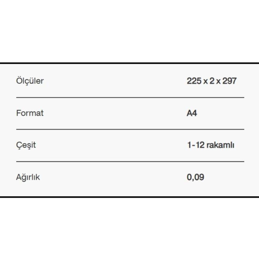 Esselte A4 Separatör, 1-12 Rakamlı, 115 Mikron PP, Düzenli Arşivleme - 7