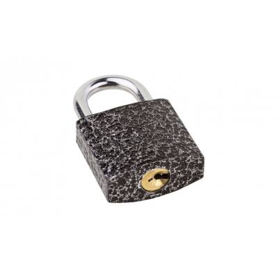 Kale 10-125 Asma Kilit, 25 mm, Döküm, Dayanıklı ve Güvenli Tasarım - 2