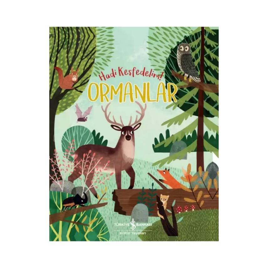 Ormanlar, Hadi Keşfedelim!, Okul Çağı, Popüler Bilim, Çocuk Kitabı - 1